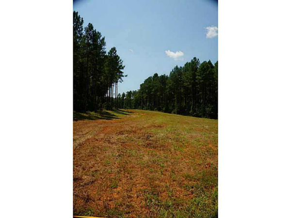 0 Racetrack Road, Danielsville, GA 30633 