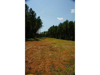 0 Racetrack Road, Danielsville, GA 30633 