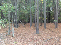 0 Etchison Spur, Loganville, GA 30052 