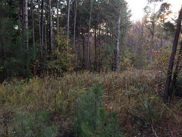 5250 L J Martin Drive, Gainesville, GA 30507 