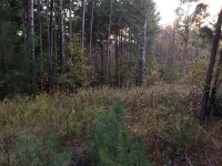 5250 L J Martin Drive, Gainesville, GA 30507 