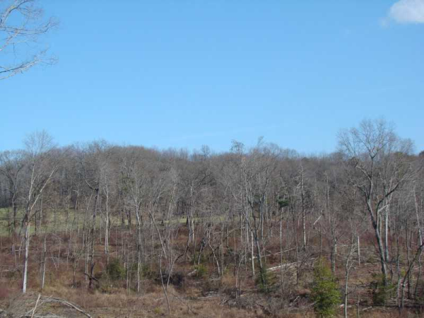 31 Guy Waters Road, Dahlonega, GA 30533 