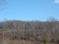 31 Guy Waters Road, Dahlonega, GA 30533 