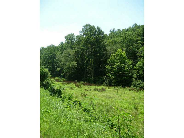 0 Long Branch Road, Ranger, GA 30734 