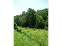 0 Long Branch Road, Ranger, GA 30734 