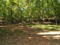 0 Tract 2a Long Branch Road, Dahlonega, GA 30533 