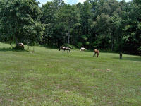 1683 Melear Road, Bowdon, GA 30108 