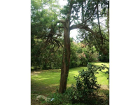 107 Atlantic Drive, St. Simons, GA 31522 