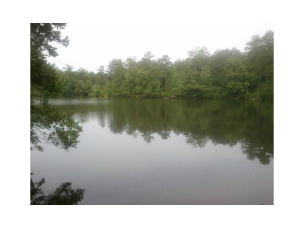 0 Austin Road, Ellenwood, GA 30294 