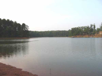 130 Goff Drive, Martin, GA 30557 