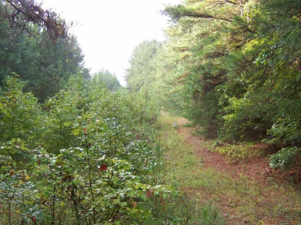 0 Jacksonville Road, Tallapoosa, GA 30176 