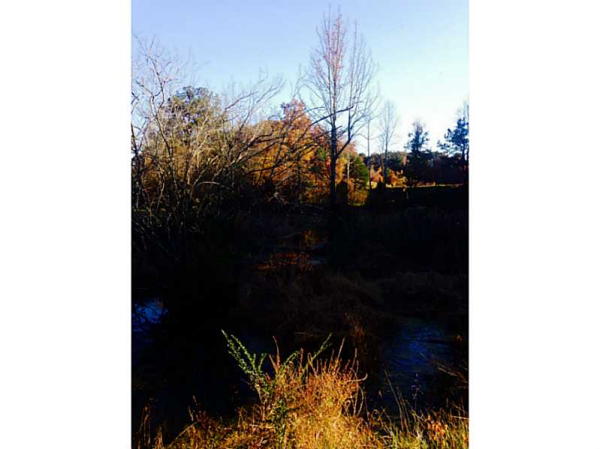 544 B Johnson Road, Fairmount, GA 30139 