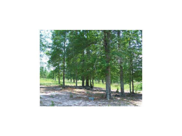 1250 Artesian Well Road Nw, Calhoun, GA 30701 