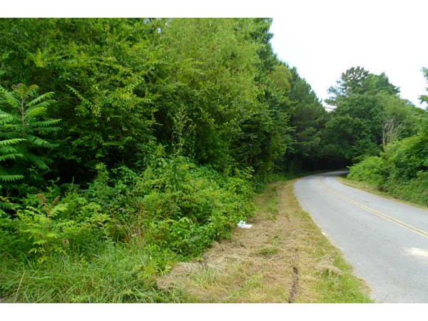 0 Fulmer Road, Buchanan, GA 30113 