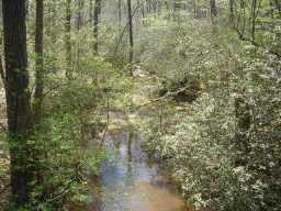 0 Tyson Road Tract B, Villa Rica, GA 30180 