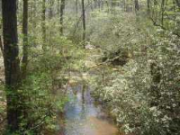 0 Tyson Road Tract B, Villa Rica, GA 30180 