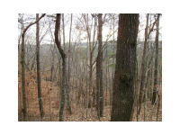 0 Hospital Circle, Canton, GA 30114 