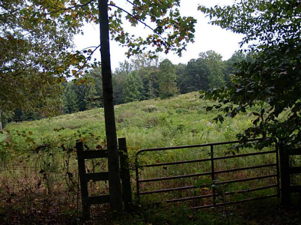 0 Homer Stephens Road, Cornelia, GA 30531 