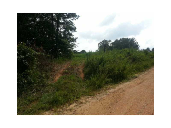 3 Glover Road, Zebulon, GA 30295 