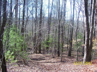 0 David Drive, Tiger, GA 30576 