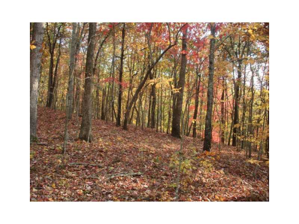 0 Brushy Mountain Road, Rockmart, GA 30153 