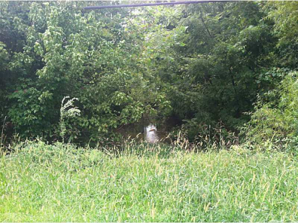 0 Hall Station Road, Adairsville, GA 30103 