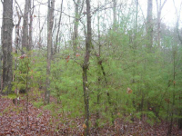 0 Sweet Apple Lane, Dahlonega, GA 30533 