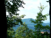 36 Holly Lane, Morganton, GA 30560 