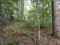 1798 Knox Bridge Highway, White, GA 30184 