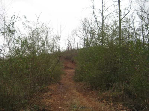 0 Spring Road, Baldwin, GA 30511 