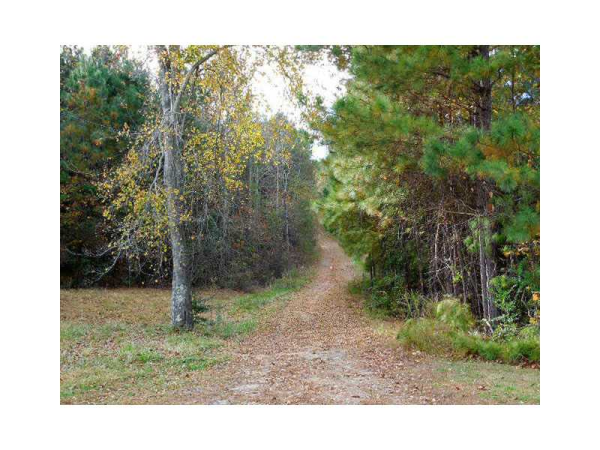 0 Yellow Creek Road, Ball Ground, GA 30107 