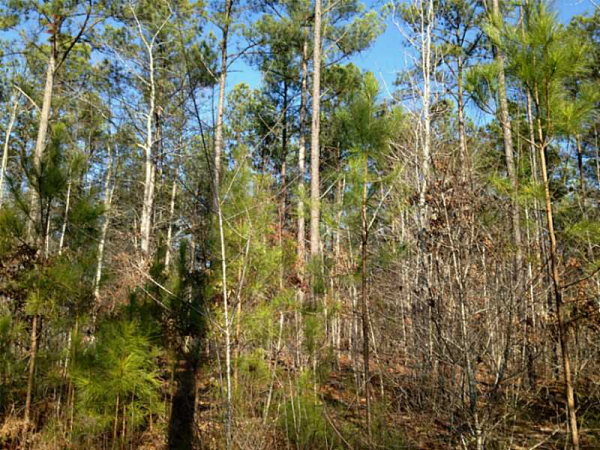 0 Pleasant Hill Road, Rockmart, GA 30153 