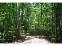 0 Lucas Road, Dallas, GA 30132 