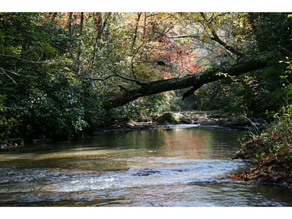 0 Pulliam And Maxwell Mill Road, Dewy Rose, GA 30634 