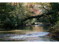 0 Pulliam And Maxwell Mill Road, Dewy Rose, GA 30634 