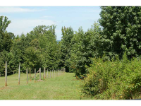 0 New Hope Road, Toccoa, GA 30577 