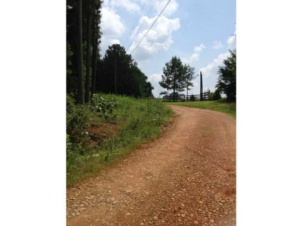 0 Mountain View Road, Carnesville, GA 30521 