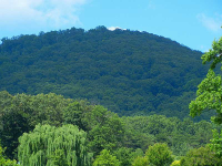 0 Wallys Lane, Talking Rock, GA 30175 