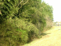 3204 Macland Road, Powder Springs, GA 30127 