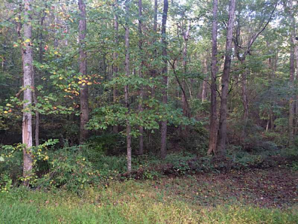 0 Whetstone, Grayson, GA 30017 