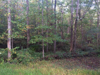 0 Whetstone, Grayson, GA 30017 