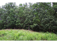 0 Spring Place Road, Cartersville, GA 30121 