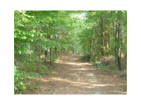 0 Billy Bullock Extension, Dallas, GA 30157 