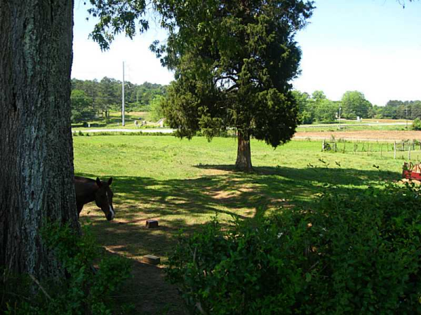 0 Rockmart Highway, Cedartown, GA 30125 