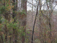 5355 John Burruss Road, Cumming, GA 30040 