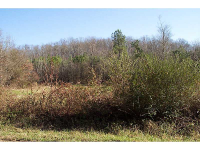 0 Stoners Road, Adairsville, GA 30103 