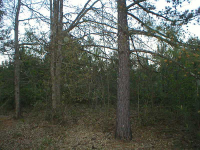 1953 Barton Bridge Road, Monroe, GA 30655 