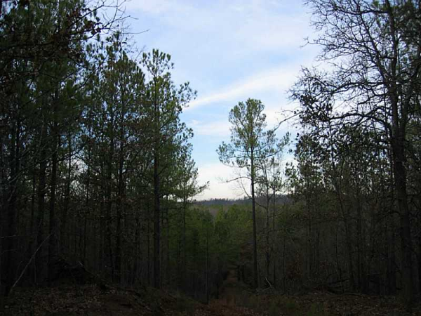 0 Gibbons, Taylorsville, GA 30178 