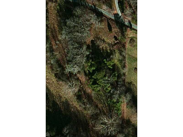 0 Grant Road, Dawsonville, GA 30534 