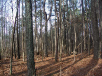 0 Dandy Road, Dallas, GA 30132 